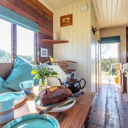 The Hoot Romantic Glamping Southwick  Exteriör bild